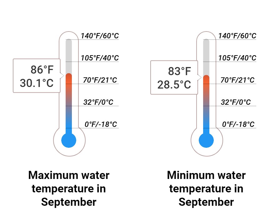 Average Sea temperature